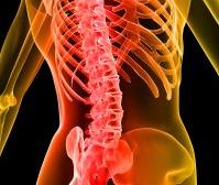 Ont i ryggen? Gillar du värme? <br />Då är neuromuskulär massage på NM-5000 är något för dig… <br />Nuga Hälsa KB – leverantör av Nuga Best´s hälsofrämjande redskap i Skandinavien.